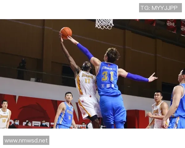 福建CBA球队全解析：历史沿革与现役阵容介绍